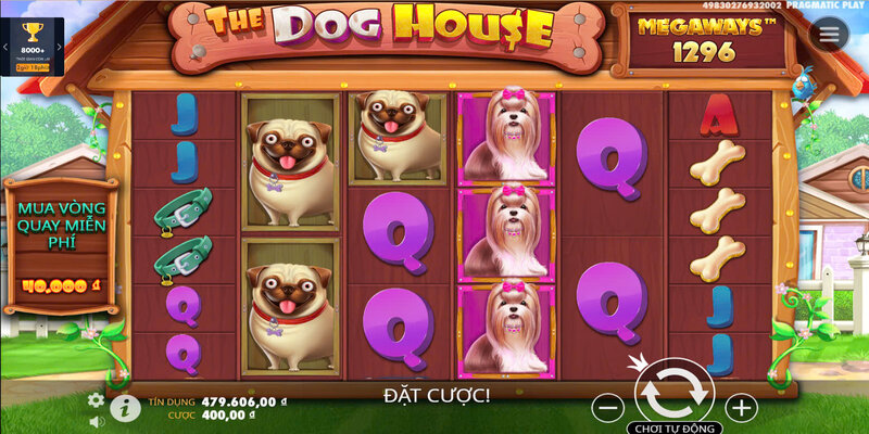 Ngôi nhà cún 7 Tính năng đặc biệt trong game slot Ngôi nhà cún