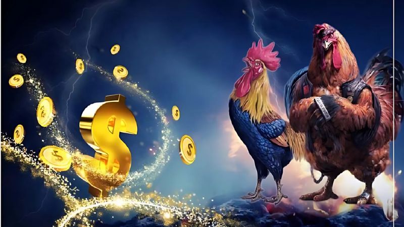 Hướng dẫn chơi đá gà R88 tại Kingfun đầy đủ và chi tiết nhất 10 Hướng dẫn chơi đá gà R88 tại Kingfun chi tiết
